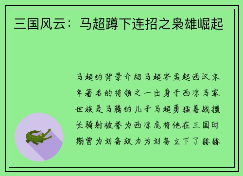 三国风云：马超蹲下连招之枭雄崛起